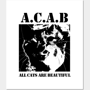 All Cats Are Beautiful Posters and Art